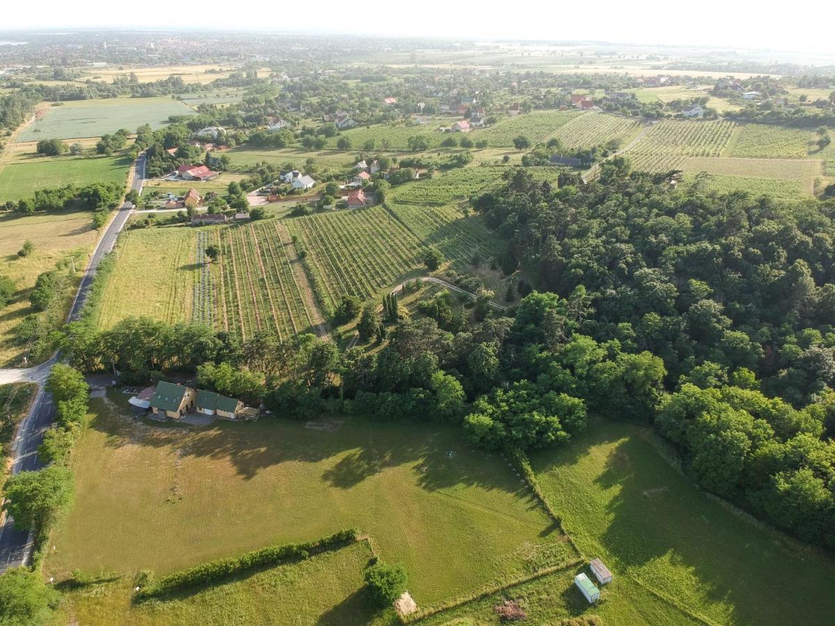 Pilikan Apartments - Park, Agroturism, Vineyard & Farm Cserszegtomaj Exterior foto