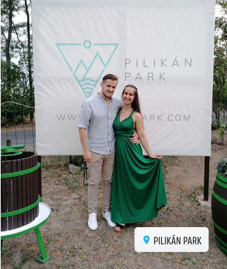 Pilikan Apartments - Park, Agroturism, Vineyard & Farm Cserszegtomaj Exterior foto
